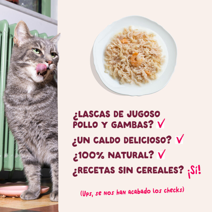 70 g Edgard & Cooper Filetes de Pollo y Gambas Lata para gatos, , large Imagem n&uacute;mero 4