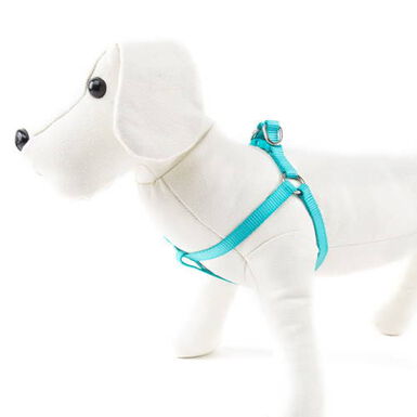 Nayeco Basic Peitoral Turquesa para cães