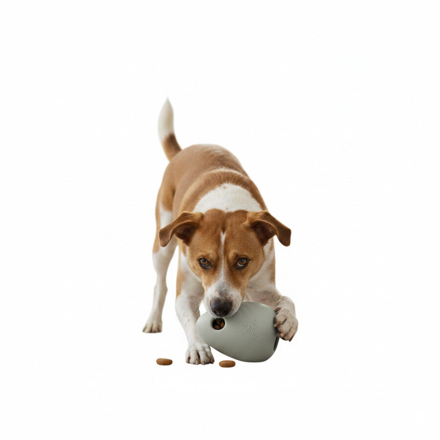 BECO Mordedor verde anti-stress para c&atilde;es, , large Imagem n&uacute;mero 6