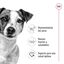 9 kg (8 + 1 kg ¡gratis!) Royal Canin Mini Adult ração para cães, , large Indicador imagem número 5