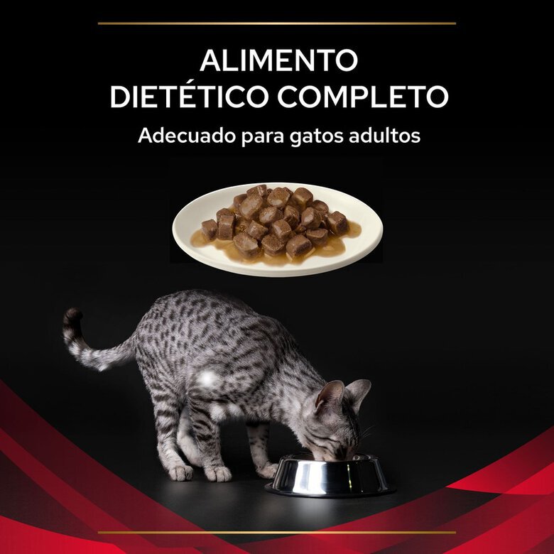 10 saquetas x 85 g Pro Plan Veterinary Diets DM saquetas para gatos ,  Imagem número 4 10 saquetas x 85 g Pro Plan Veterinary Diets DM saquetas para gatos , , large Imagem número 4