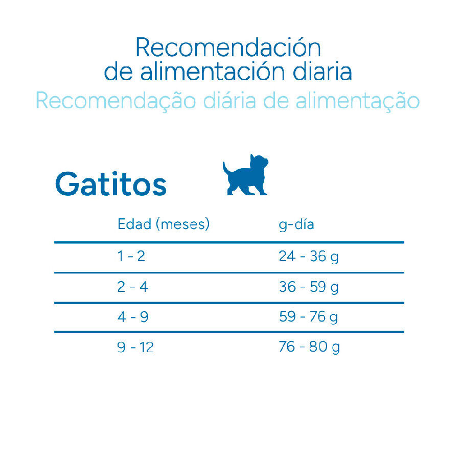 Criadores Cient&iacute;fico Mother&BabyCat Ra&ccedil;&atilde;o de frango para gatos, , large Imagem n&uacute;mero 10