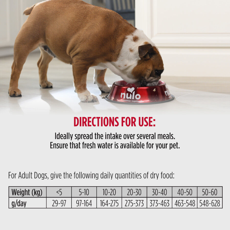 9 kg Nulo Raw Medley Ra&ccedil;&atilde;o de Salm&atilde;o, Batata-doce e Peru para C&atilde;es, , large Imagem n&uacute;mero 4