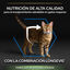3 kg Pro Plan Senior Sterilized Peru ração para gatos, , large Indicador imagem número 6