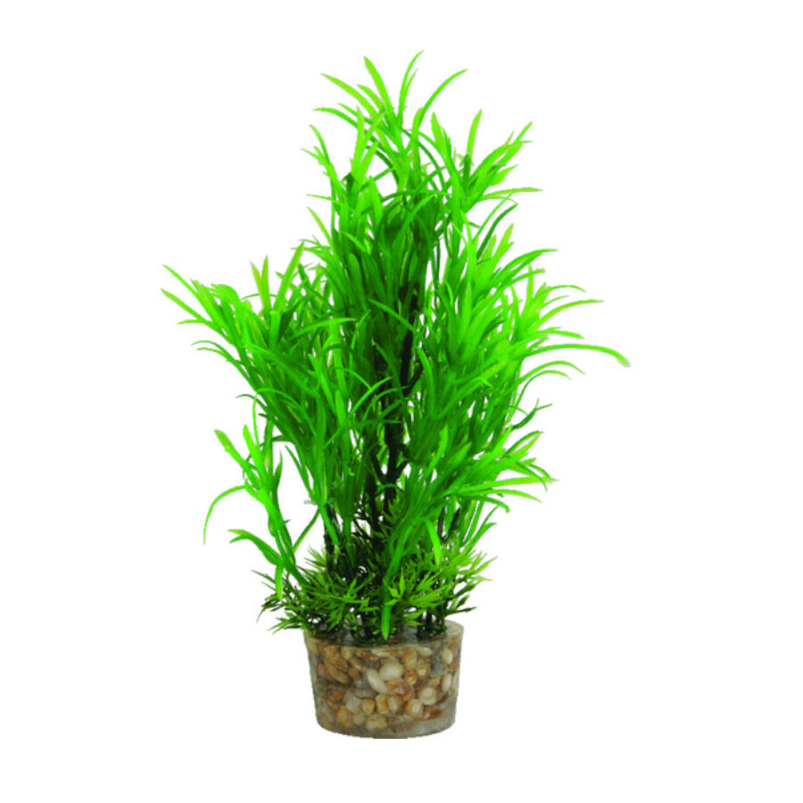 Zolux Medium T1 Planta Artificial para aqu&aacute;rios, , large Imagem n&uacute;mero 1