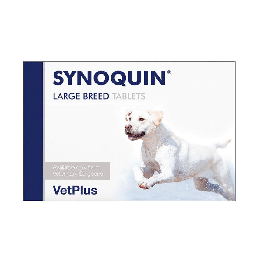 VetPlus Synoquin EFA Condroprotetor em Comprimidos para c&atilde;es de ra&ccedil;as grandes, , large Imagem n&uacute;mero 1