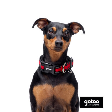 Gotoo Coleira Malha vermelha para cães