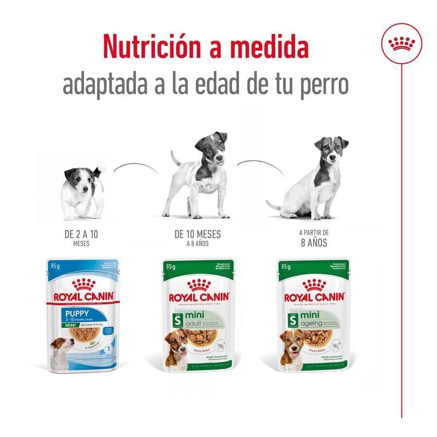 85 g Royal Canin Mini Adult saqueta em molho para c&atilde;es, , large Imagem n&uacute;mero 5