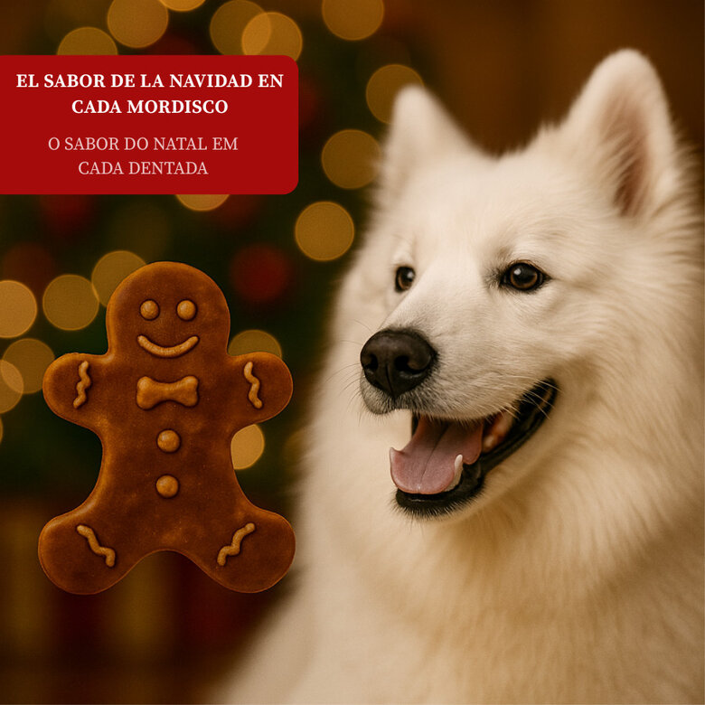 75 g Wonder Christmas Galleta de Jengibre para perros,  Imagem número 4 75 g Wonder Christmas Galleta de Jengibre para perros, , large Imagem número 4
