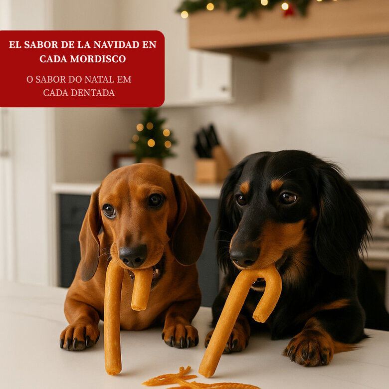 2 snacks Wonder Christmas Snack de Natal para cães,  Imagem número 4 2 snacks Wonder Christmas Snack de Natal para cães, , large Imagem número 4