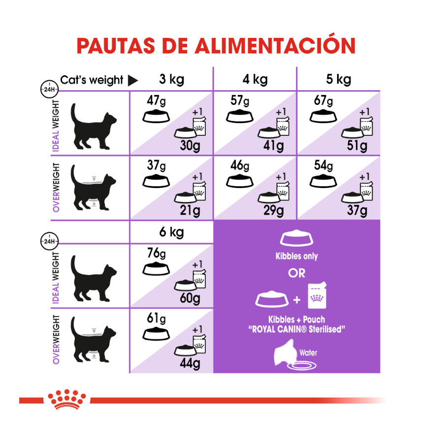 10 kg Royal Canin Regular Sterilised 37 ra&ccedil;&atilde;o para gatos, , large Imagem n&uacute;mero 7