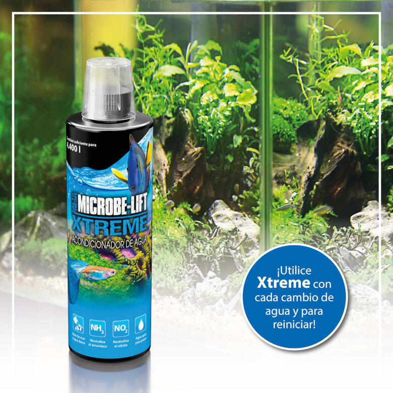 Microbe-Lift Xtreme Condicionador de Água para Aquários,  Imagem número 4 Microbe-Lift Xtreme Condicionador de Água para Aquários, , large Imagem número 4