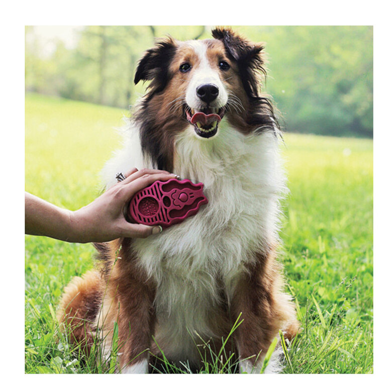 Kong Zoom Groom Escova de goma para cães,  Imagem número 2 Kong Zoom Groom Escova de goma para cães, , large Imagem número 2