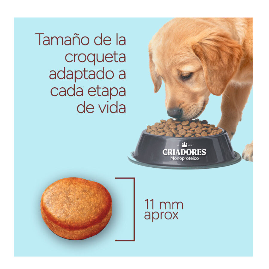 10 kg Criadores Monoproteico Light -40% de gordura Ra&ccedil;&atilde;o de frango para c&atilde;es adultos, , large Imagem n&uacute;mero 8