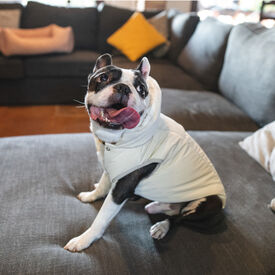 Freedog Winterhug Capa de Chuva bege para cães