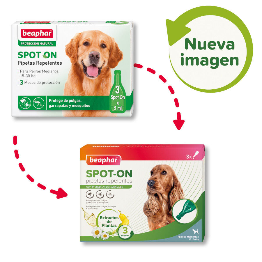 Beaphar Pipetas Repelentes para c&atilde;es, , large Imagem n&uacute;mero 2