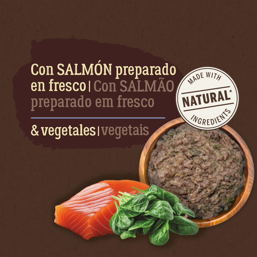 True Origins Pure Comida h&uacute;mida de salm&atilde;o com espinafres em saquetas para c&atilde;es , , large Imagem n&uacute;mero 3