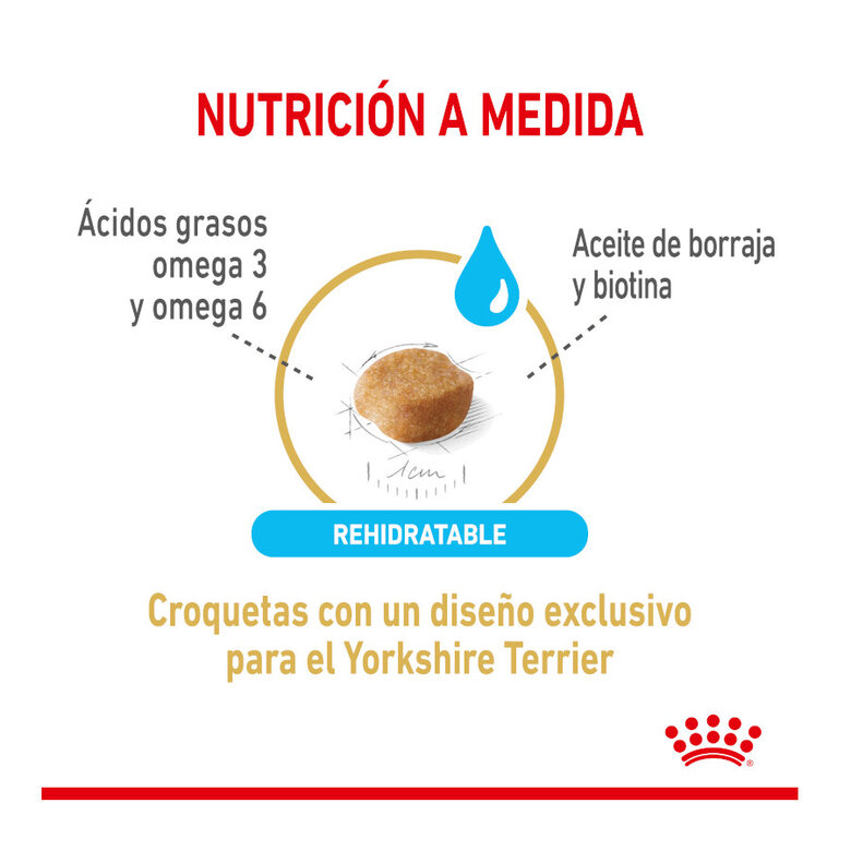 1.5 kg Royal Canin Adult 8+ Yorkshire ração para cães,  Imagem número 4 1.5 kg Royal Canin Adult 8+ Yorkshire ração para cães, , large Imagem número 4