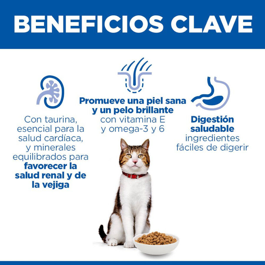 10 kg Hill's Mature Adult Science Plan Frango ra&ccedil;&atilde;o para gatos, , large Imagem n&uacute;mero 4