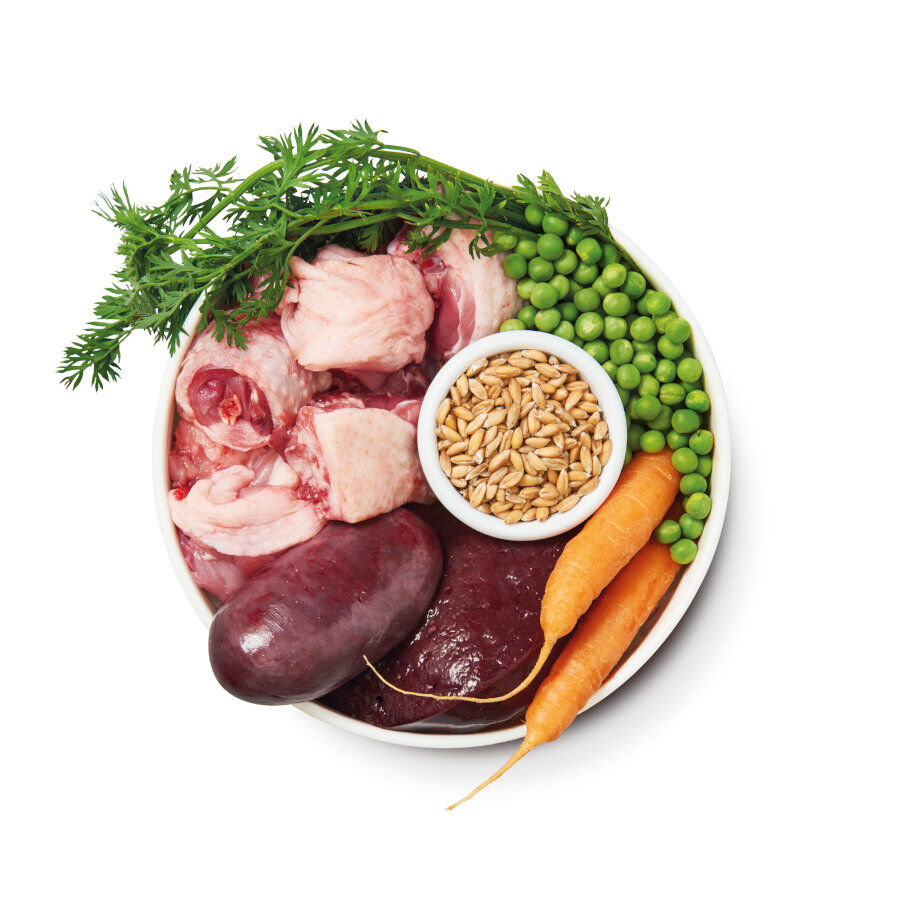 150 g Lily's Kitchen Organic frango terrina para c&atilde;es, , large Imagem n&uacute;mero 4