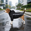 Gotoo Casaco Imperme&aacute;vel Refletor Preto para c&atilde;es, , large Indicador imagem n&uacute;mero 1