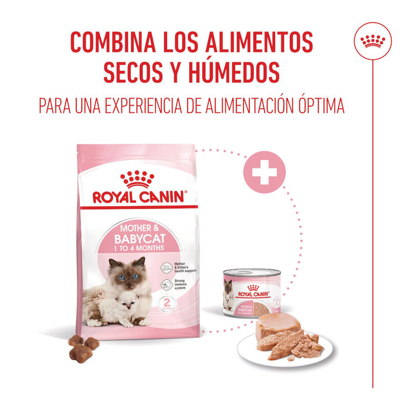 195 g Royal Canin Mother Baby mousse latas para gatos,  Imagem número 5 195 g Royal Canin Mother Baby mousse latas para gatos, , large Imagem número 5