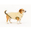 Outech Casaco Polar Bege para cães, , large Indicador imagem número 4