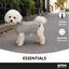 Gotoo Camisola de Malha Cinzenta para c&atilde;es, , large Indicador imagem n&uacute;mero 6