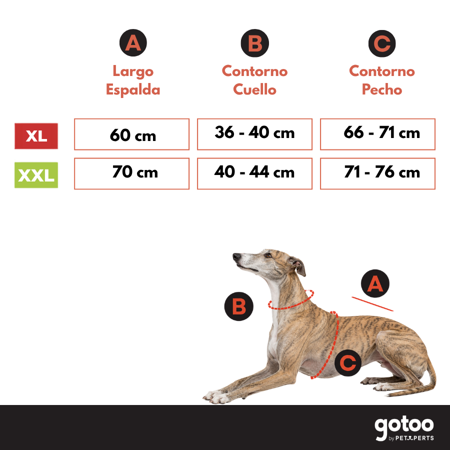 Gotoo Camisola Cinzenta para galgos, , large Imagem n&uacute;mero 5