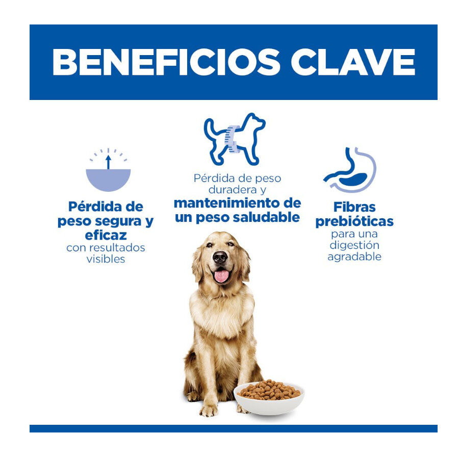 12 kg Hill's Science Plan Perfect Weight Adult Large Frango ra&ccedil;&atilde;o para c&atilde;es, , large Imagem n&uacute;mero 3