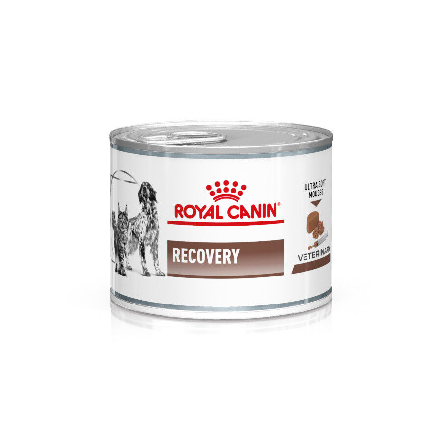 48 latas x 195 g Royal Canin Veterinary Recovery lata para gatos   Pack poupan&ccedil;a!, , large Imagem n&uacute;mero 1