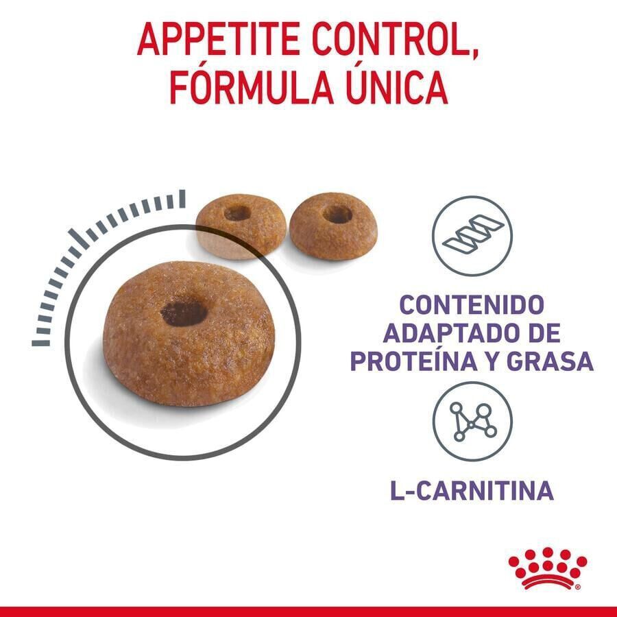 10 kg Royal Canin Appetite Control Care ra&ccedil;&atilde;o para gatos , , large Imagem n&uacute;mero 7