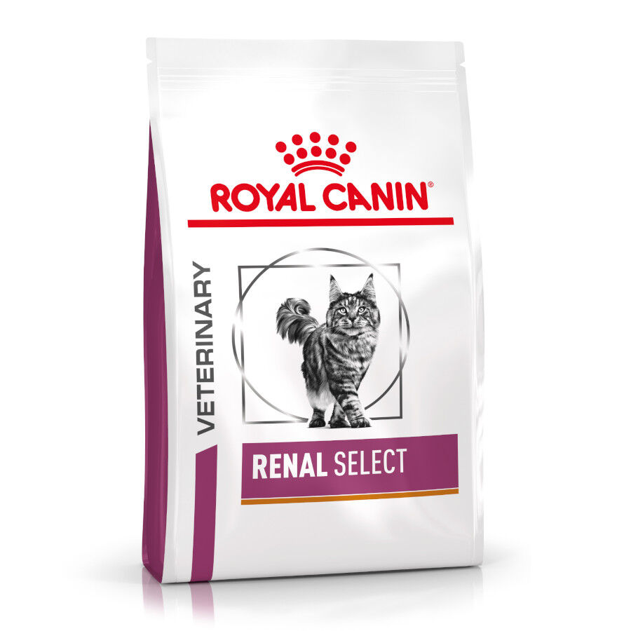 4 kg Royal Canin Veterinary Renal Select ra&ccedil;&atilde;o para gatos , , large Imagem n&uacute;mero 1