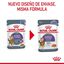 85 g Royal Canin Nutrition Appetite Control Care geleia para gatos, , large Indicador imagem número 2
