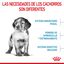 15 kg Royal Canin Puppy Medium ração para cães, , large Indicador imagem número 5