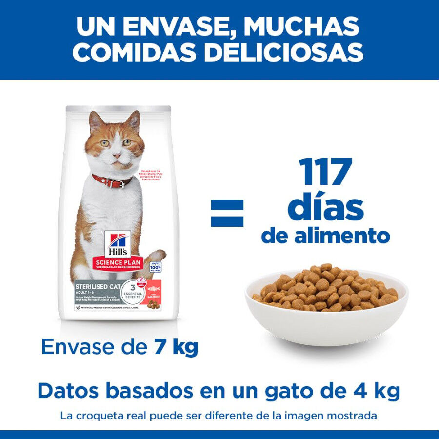 10 kg Ra&ccedil;&atilde;o Hill's Science Plan Sterilised Adult Ra&ccedil;&atilde;o de salm&atilde;o para gatos, , large Imagem n&uacute;mero 6
