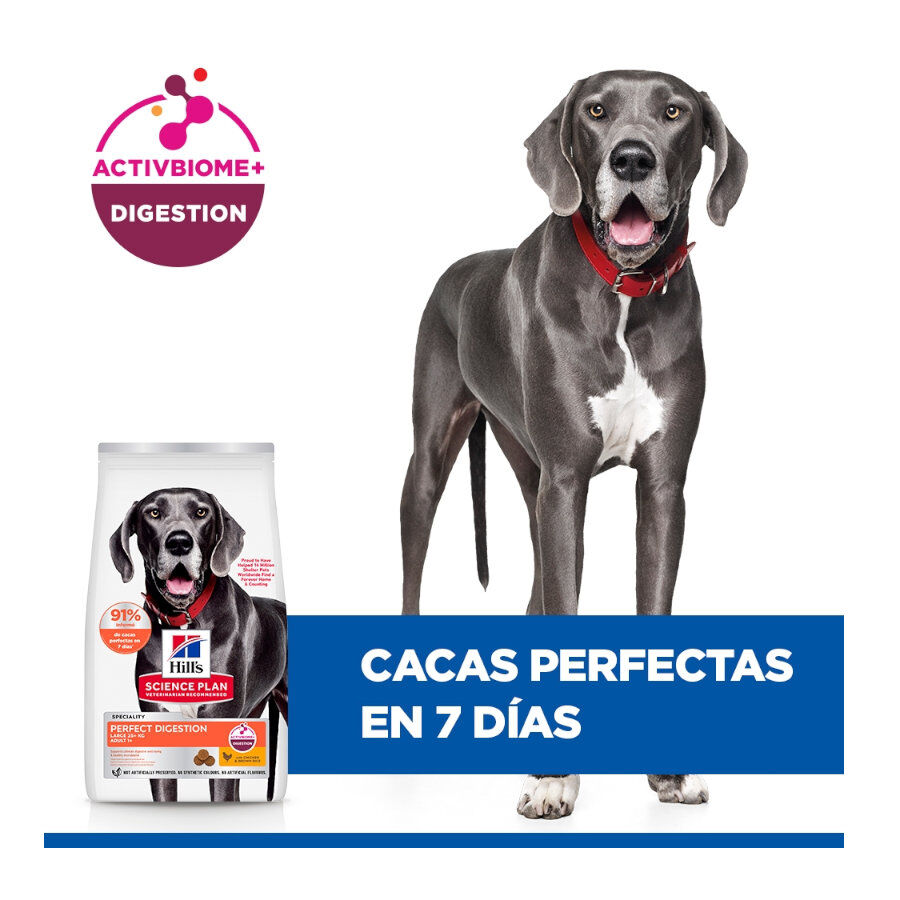 14 kg Hill's Large Adult Science Plan Perfect Digestion Frango ra&ccedil;&atilde;o para c&atilde;es, , large Imagem n&uacute;mero 7