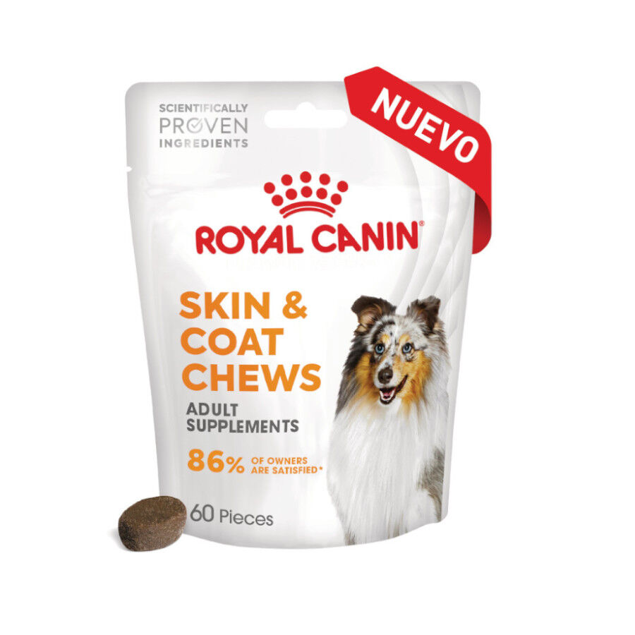 240 g Royal Canin Skin & Coat Chews Suplemento Nutricional Adulto para C&atilde;es, , large Imagem n&uacute;mero 2