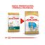12 kg Royal Canin Puppy Golden Retriever ração para cães, , large Indicador imagem número 3