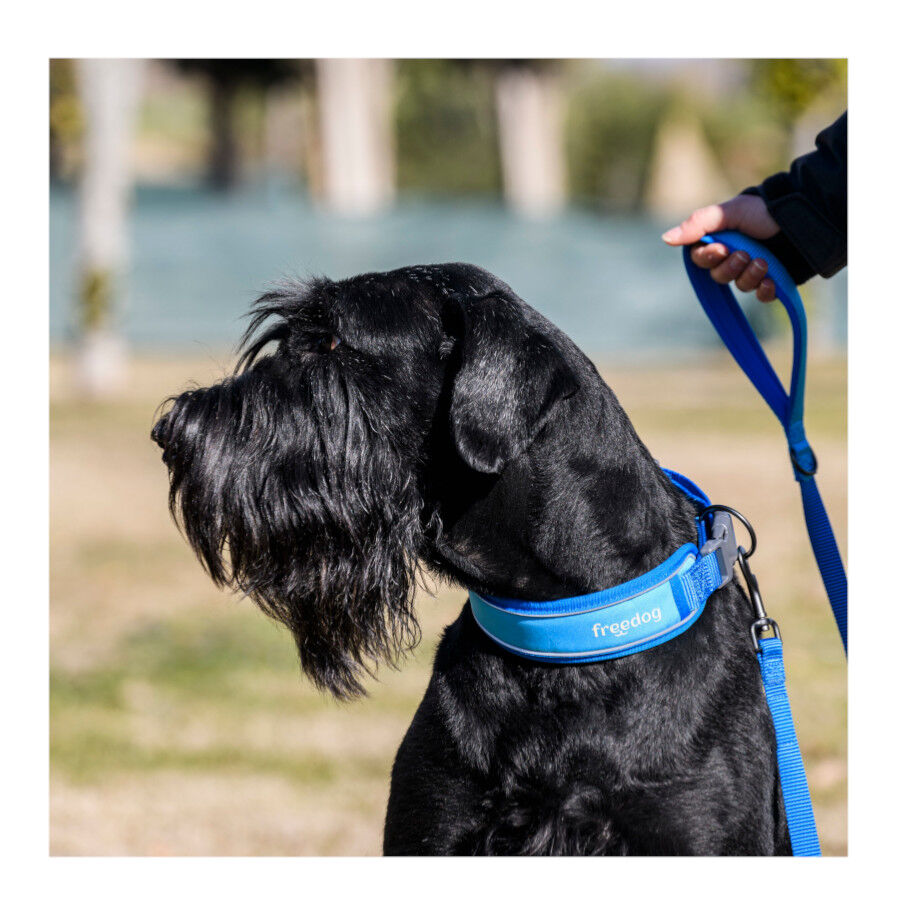 Freedog Cool Pro Tech Coleira Azul para c&atilde;es, , large Imagem n&uacute;mero 7