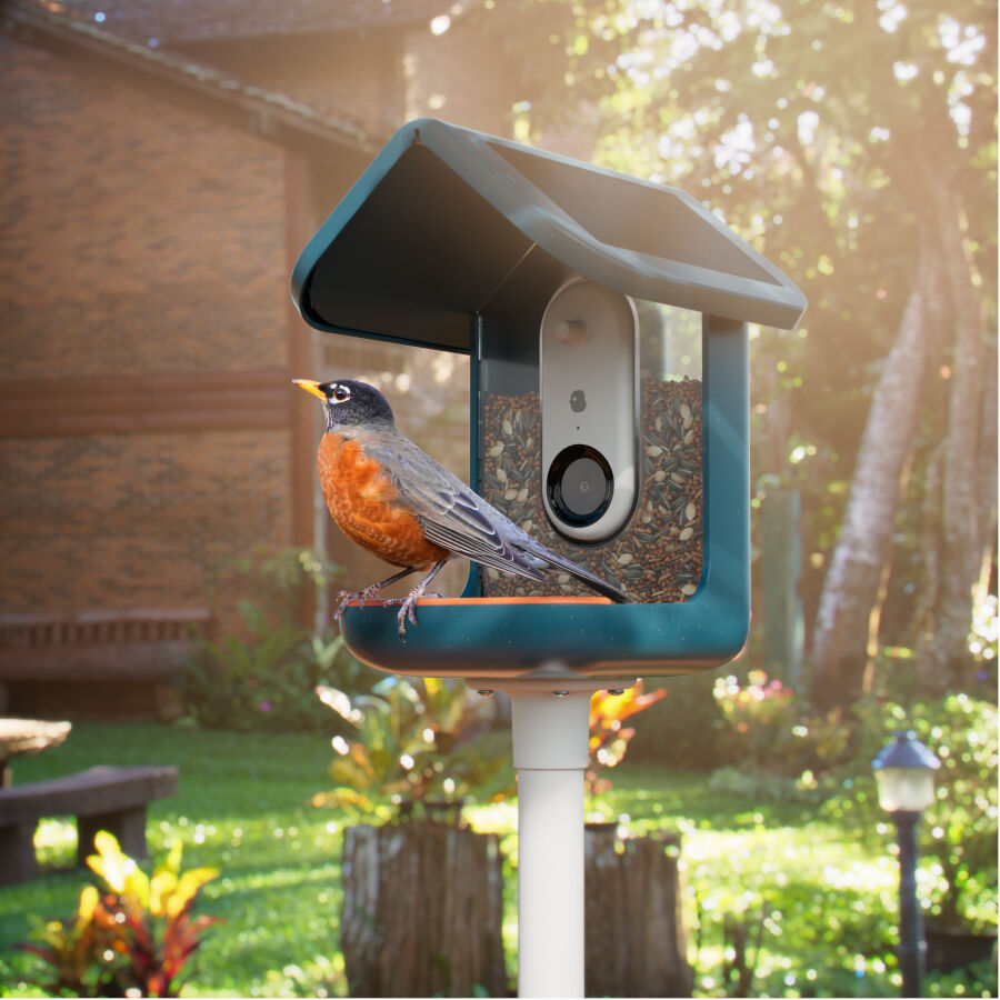 Birdbuddy Comedouro Inteligente com C&acirc;mara para P&aacute;ssaros, , large Imagem n&uacute;mero 5