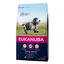 Eukanuba Senior pienso para perros medianos Indicador imagem número 1