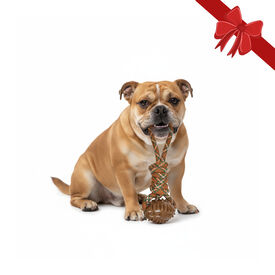 Wonder Christmas Brinquedo de Corda e Mordedor de Natal para Cães,  Wonder Christmas Brinquedo de Corda e Mordedor de Natal para Cães