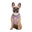 Dukier Flower Power Peitoral ajustável para cães , , large Indicador imagem número 3