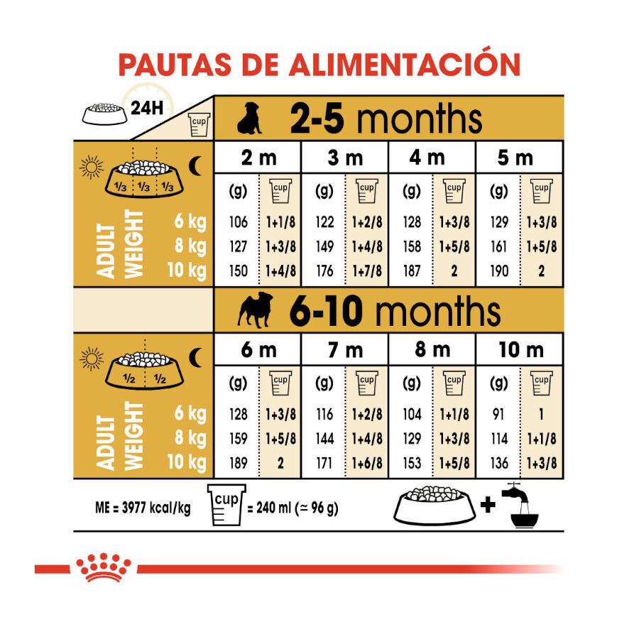 1.5 kg Royal Canin Puppy Pug ra&ccedil;&atilde;o para c&atilde;es, , large Imagem n&uacute;mero 9
