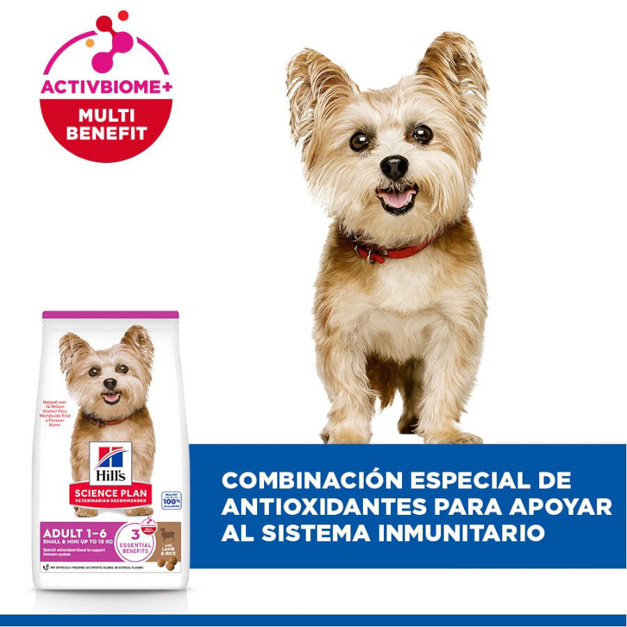1.5 kg Hills Adult Small y Mini Science Plan Cordeiro ra&ccedil;&atilde;o para c&atilde;es, , large Imagem n&uacute;mero 4
