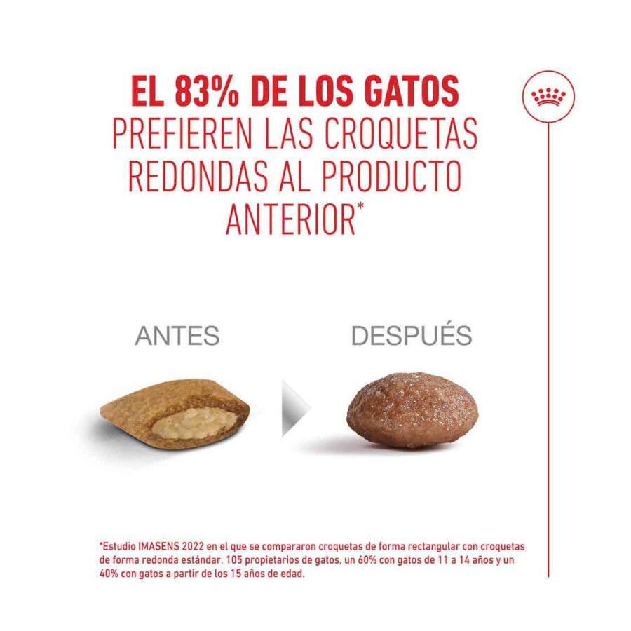 4 kg Royal Canin Ageing 11+ ra&ccedil;&atilde;o para gatos, , large Imagem n&uacute;mero 11