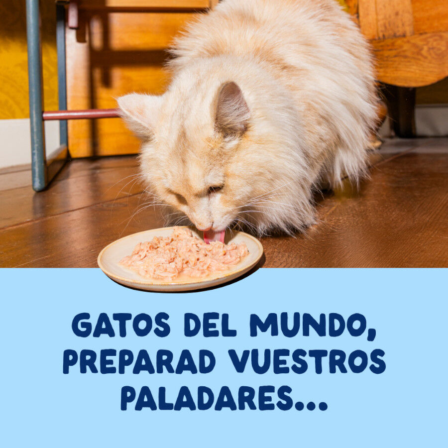 70 g Edgard & Cooper Alimento h&uacute;mido de atum em lata para gatos, , large Imagem n&uacute;mero 2