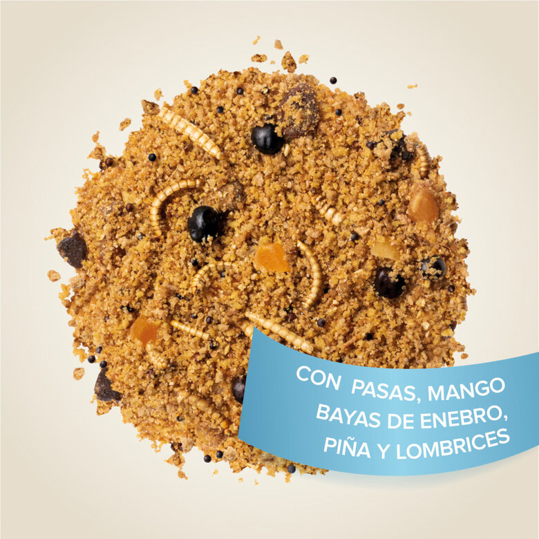 Beaphar Universal Food pasta para pássaros,  Imagem número 4 Beaphar Universal Food pasta para pássaros, , large Imagem número 4