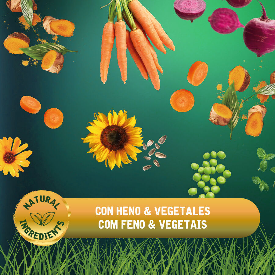 4 kg Small Life Premium Men&uacute; Comida para Porquinhos-da-&Iacute;ndia, , large Imagem n&uacute;mero 4